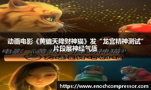 NG娱乐官网